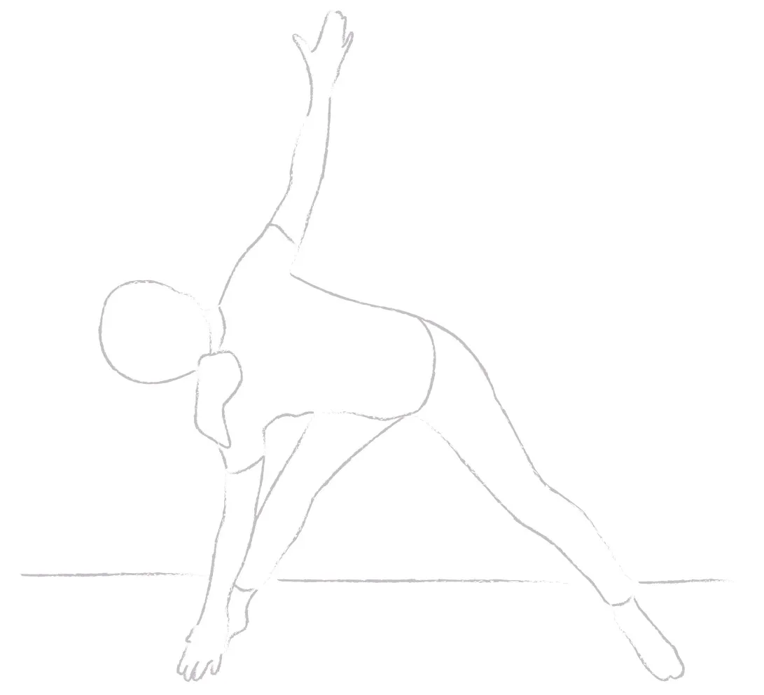 Yogajanam triangle