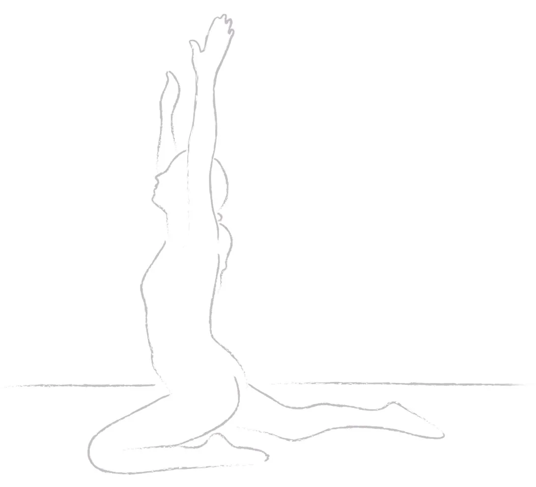 Yogajanam pigeon