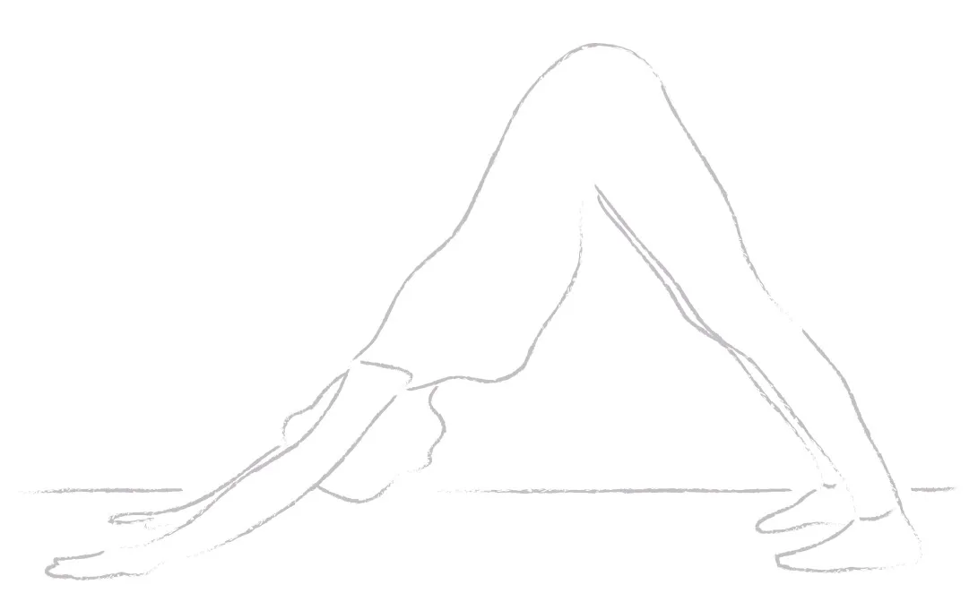 Yogajanam downward dog